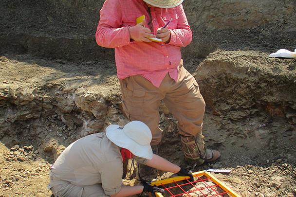 <a href='http://njneqt.bethpeters.net'>bv伟德ios下载</a>学生在麦卡尔哈尼采石场测绘三角龙骨骼.